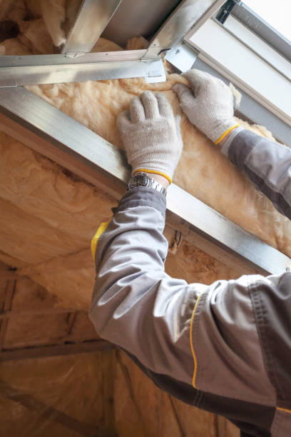 Best Crawl Space Insulation  in Venice Gardens, FL